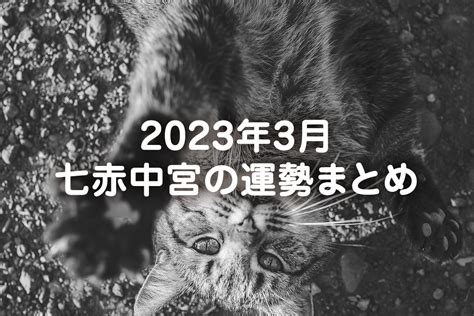 中宮 2023